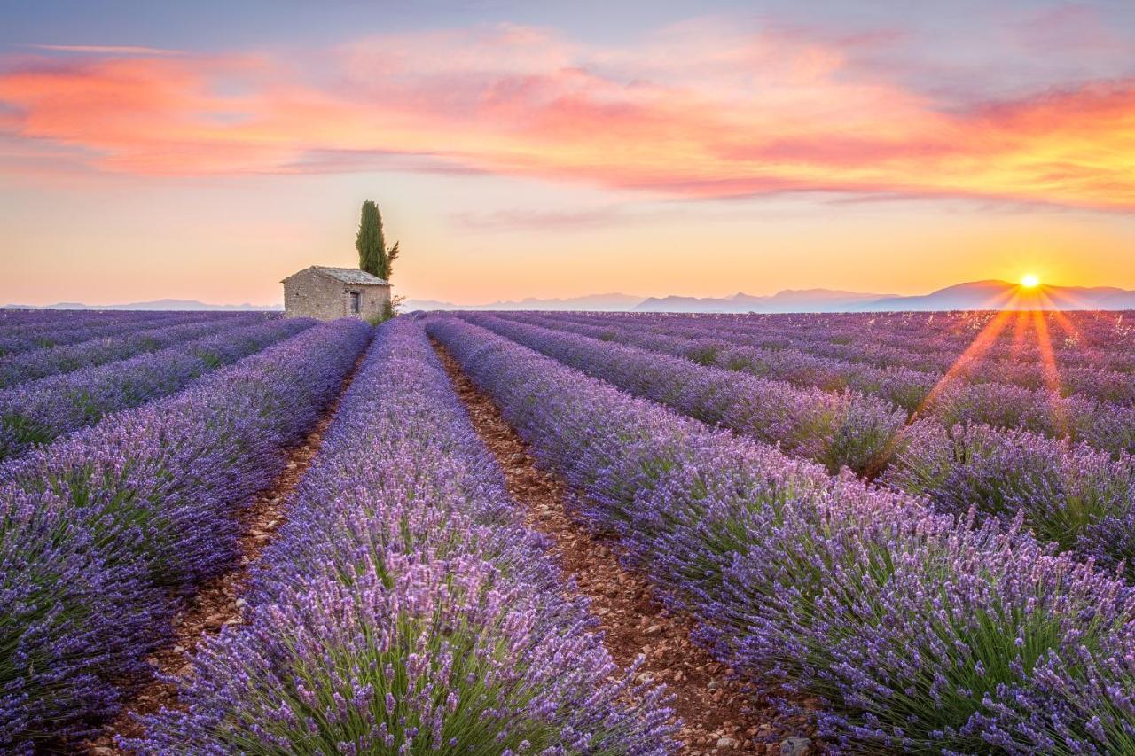 Provence Now Apartman Cabrières-dʼAvignon Kültér fotó