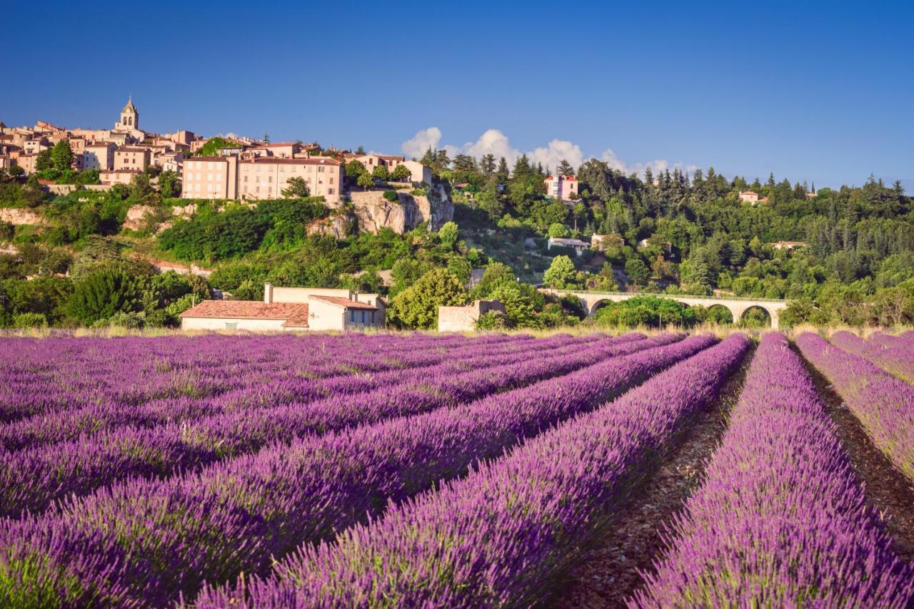 Provence Now Apartman Cabrières-dʼAvignon Kültér fotó
