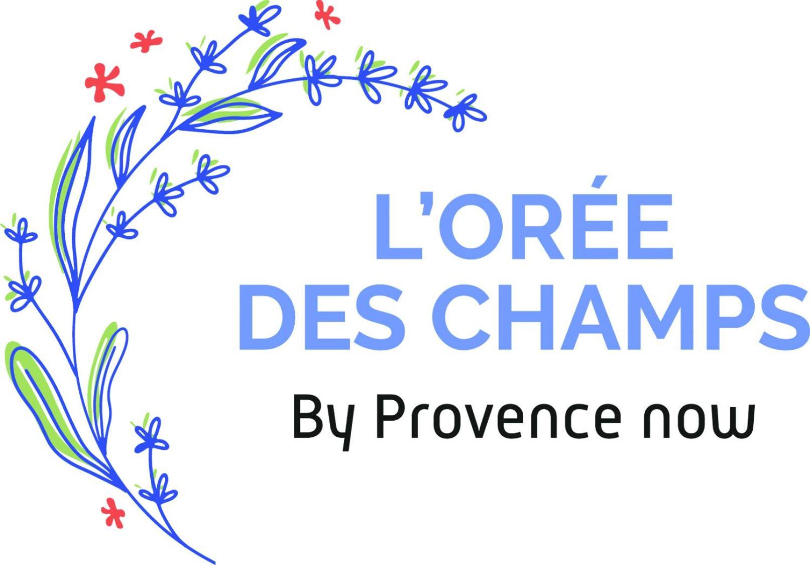 Provence Now Apartman Cabrières-dʼAvignon Kültér fotó